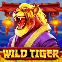 EEEGAME